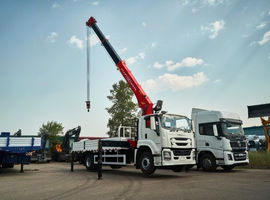 Бортовой грузовик ISUZU 4×2 с КМУ VIGRUS SHS2006, 8 т, 20 м