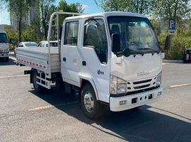 Бортовой грузовик Isuzu 4×4 с двигателем 96 кВт, грузоподъёмность 2 т, кузов 3245×2200×400 мм